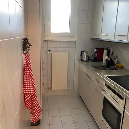 Wef Mit Weitsicht 公寓 达沃斯