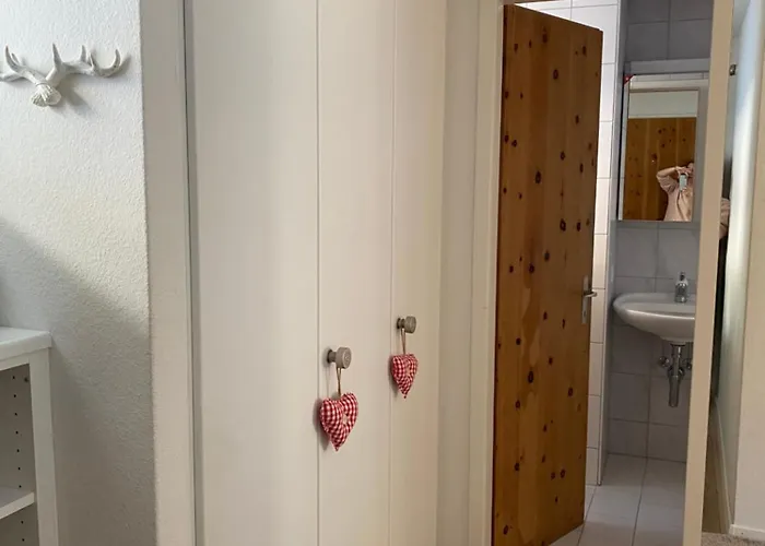 Wef Mit Weitsicht 达沃斯